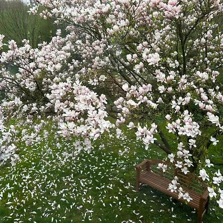 Ferien Und Freizeithof Engelau - Zi 3 Giekau